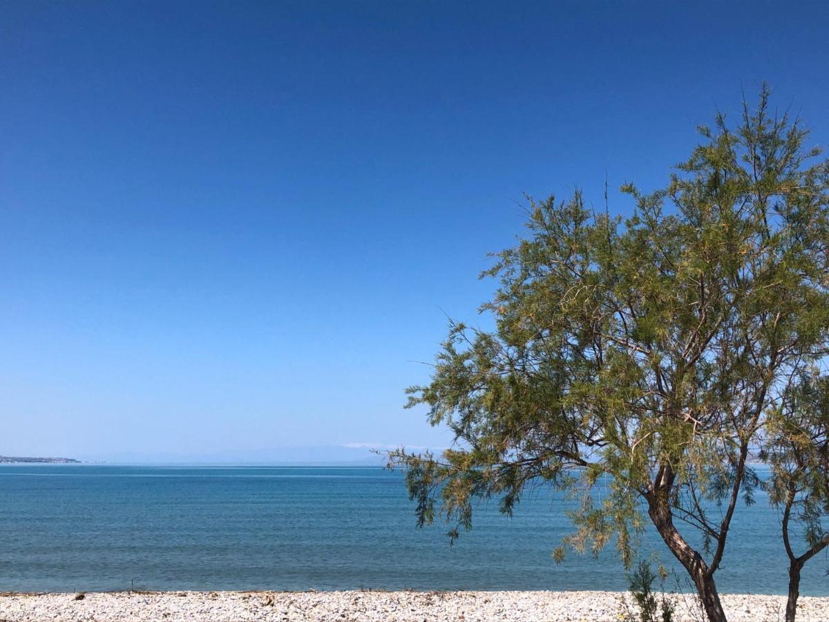 Casa Cuore Modern Stay Near The Sea Kato Assos ภายนอก รูปภาพ